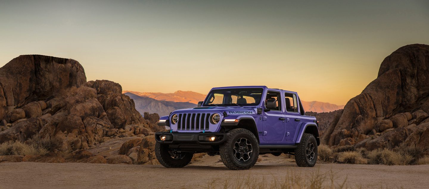 Wrangler in reign color